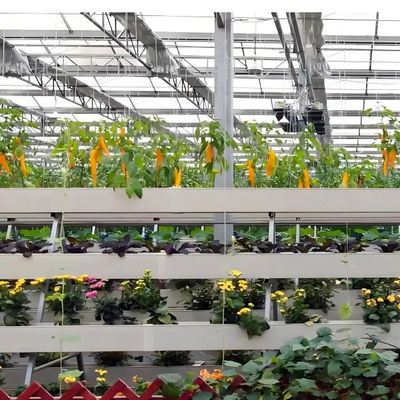 China design wholesale double glass greenhouse Venlo type polycarbonate greenhouse