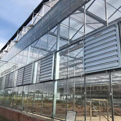 Greenhouse Commercial Greenhouse Venlo Dutch Greenhouse for vegetables