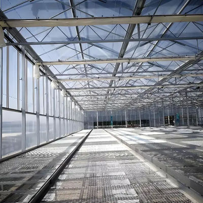 Festgebaute Verzinkte Gewächshäuser vom Typ Venlo