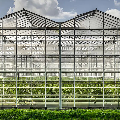 Festgebaute Verzinkte Gewächshäuser vom Typ Venlo