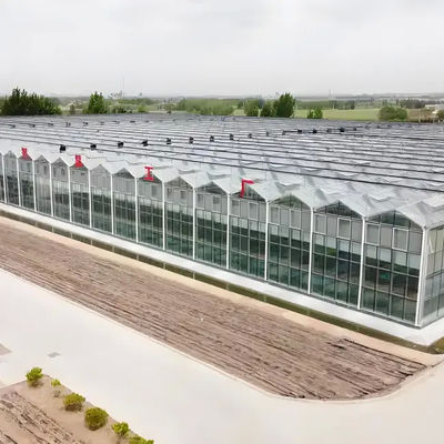 Strong Structure Galvanized Venlo Type Greenhouse Commerical Green House
