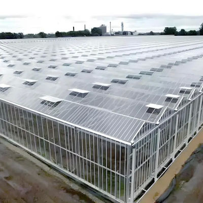 Modern Venlo Greenhouse Farming Commercial Glass Greenhouse With Galvanized Steel Frame