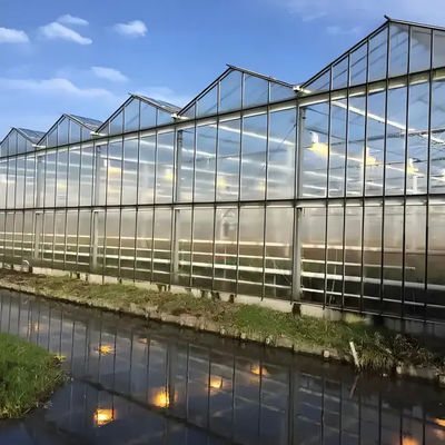 Intelligent Venlo Glass Greenhouse For Tomato Strawberry Growing Turnkey Project