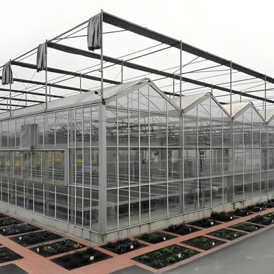 Strong Structure Galvanized Venlo Type Greenhouse Commerical Green House