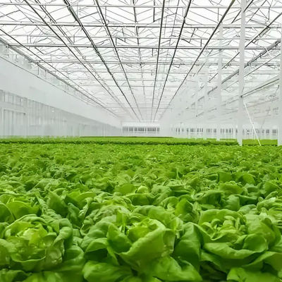 Aluminium Profile Venlo Type Greenhouse Steel Structure For Agricultural Planting
