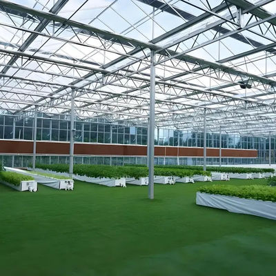 Sturdy Structure Double Glass Greenhouse Venlo Type High Light Transmittance