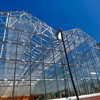 Aluminum profile customized greenhouse energy-saving Venlo stype glass polycarbonate greenhouse