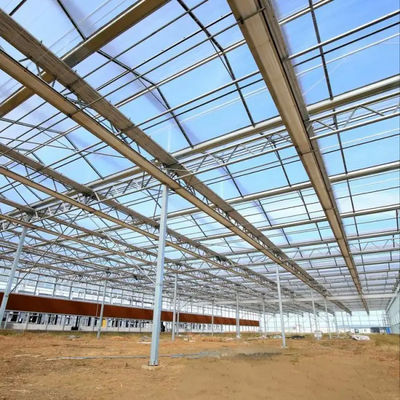Agriculture usage Strong design greenhouse Dutch Venlo type greenhouse