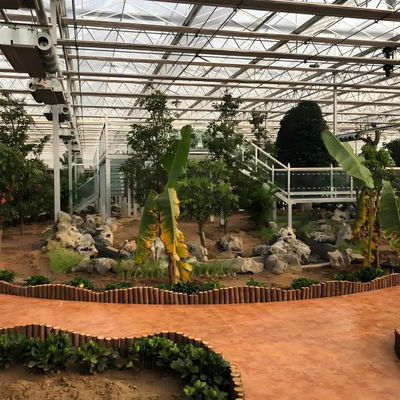 Agriculture usage Strong design greenhouse Dutch Venlo type greenhouse