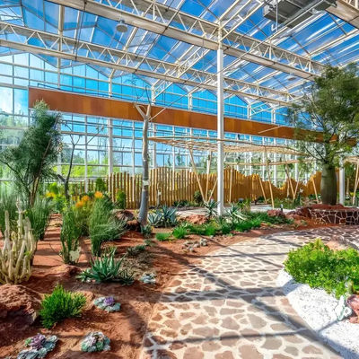 Intelligent Venlo Glass Greenhouse For Tomato Strawberry Growing Turnkey Project