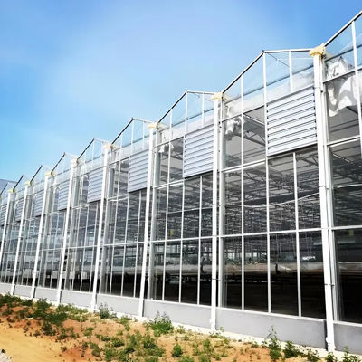 Reasonable price Galvanized steel structure Venlo type glass greenhouse polycarbonate greenhouse