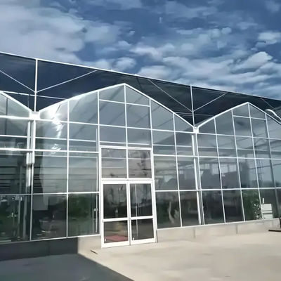 Fully Automatic Dutch Venlo Greenhouse Double layered with Evaporative Cooling