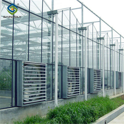 Agriculture Polycarbonate Venlo Type Greenhouse For Planting Tomatoes