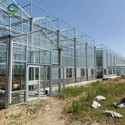 Multi Span Venlo Style Greenhouse Climate Control For Vegetable And Flowers