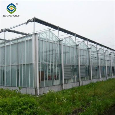 Multi Span Venlo Style Greenhouse Climate Control For Vegetable And Flowers
