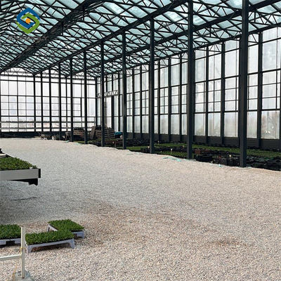 Multi Span Venlo Style Greenhouse Climate Control For Vegetable And Flowers