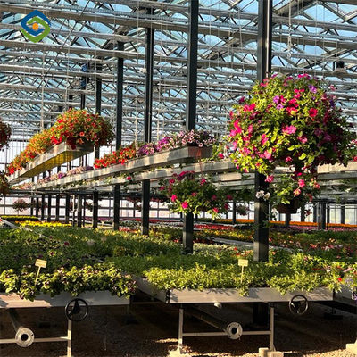 Multi Span Venlo Style Greenhouse Climate Control For Vegetable And Flowers