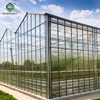 Customizable Dutch Venlo Greenhouse For Vegetables With Intelligent Control System
