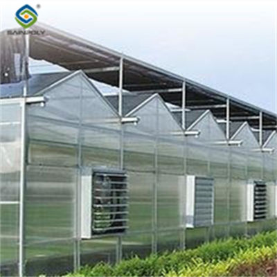 Customizable Dutch Venlo Greenhouse For Vegetables With Intelligent Control System