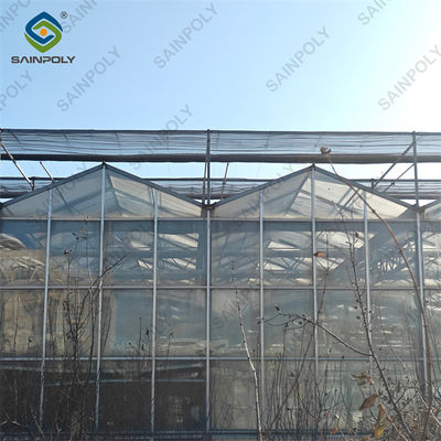 Agricultural Glass Venlo Type Greenhouse Wind Resistance Professional Installation