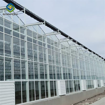 Agricultural Glass Venlo Type Greenhouse Wind Resistance Professional Installation