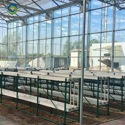 Agricultural Glass Venlo Type Greenhouse Wind Resistance Professional Installation