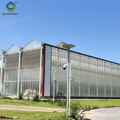 Landwirtschaftliche Polykarbonat-Multi-Span-Gewächshaus Venlo-Stil 30-60m Länge