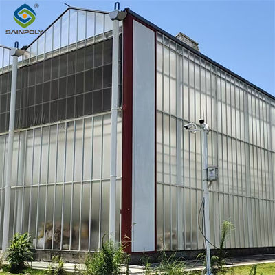 Landwirtschaftliche Polykarbonat-Multi-Span-Gewächshaus Venlo-Stil 30-60m Länge
