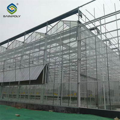 Multispan Agricultural Venlo Glass Greenhouse Hot Galvanized Steel Customized