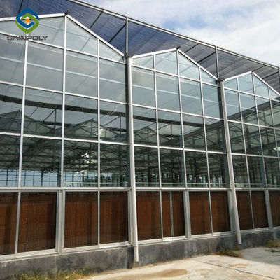 Multispan Agricultural Venlo Glass Greenhouse Hot Galvanized Steel Customized