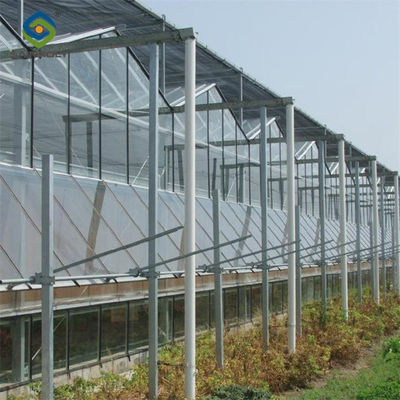 High Strength Agricultural Glass Greenhouse Venlo Type Easy Installation