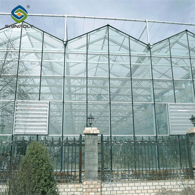 High Strength Agricultural Glass Greenhouse Venlo Type Easy Installation