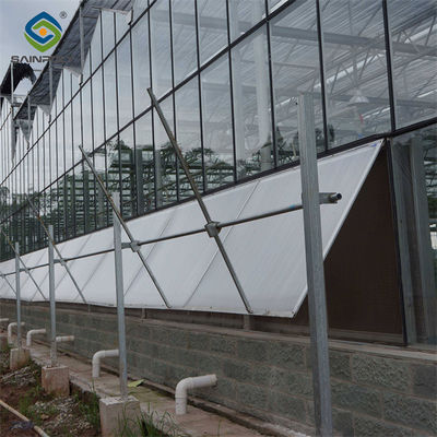 Steel Frame Dutch Venlo Greenhouse Tempered Glass Greenhouse  For Planting Tomatoes