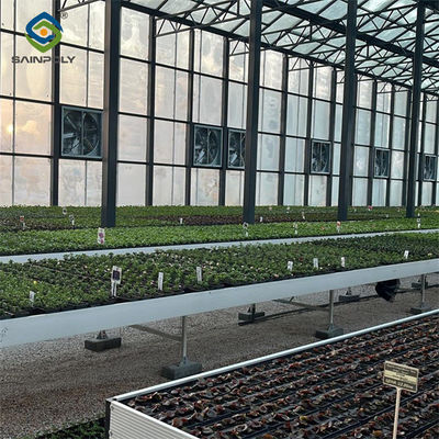 Agricultural Glass Greenhouse Continuous Skeleton PC Board Greenhouse For Vegetables