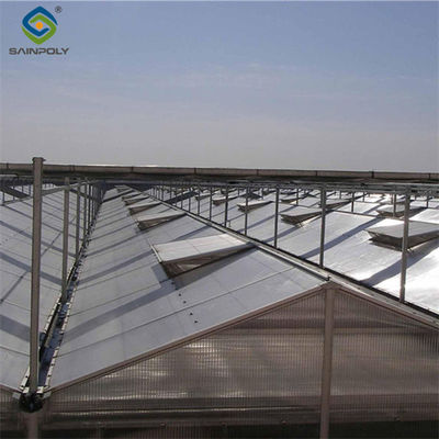 Customized Size Intelligent Greenhouse Vegetable Growing Greenhouse