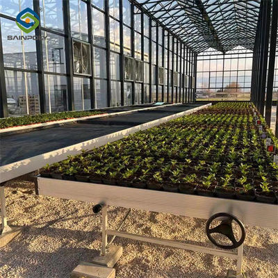 Weather Resistance Venlo Type Greenhouse With Hot Galvanized Steel Structure