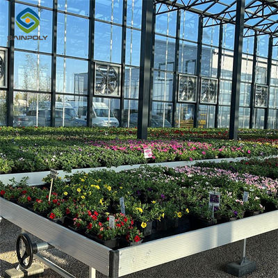 Weather Resistance Venlo Type Greenhouse With Hot Galvanized Steel Structure
