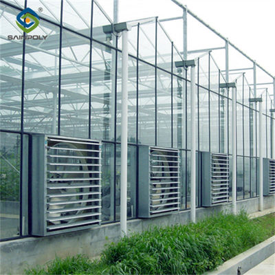 Venlo Greenhouse Commercial Polycarbonate Glass Greenhouse For Seeds Vegetables Hydroponic Tomato