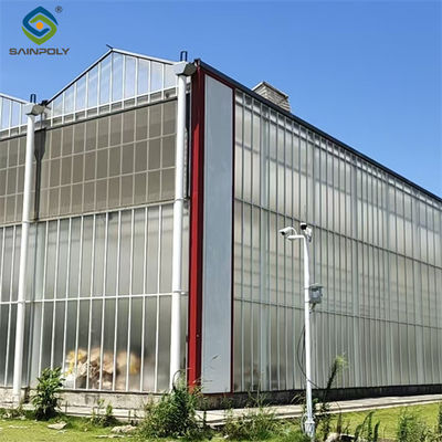 Venlo Greenhouse Commercial Polycarbonate Glass Greenhouse For Seeds Vegetables Hydroponic Tomato