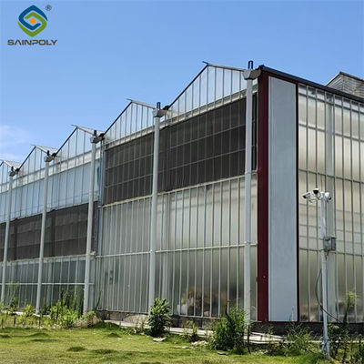 PC Sheet Venlo Greenhouse Large Energy Saving Commercial Polycarbonate Greenhouse