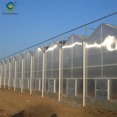 Multi Span Venlo Greenhouse Agricultural Polycarbonate Green House
