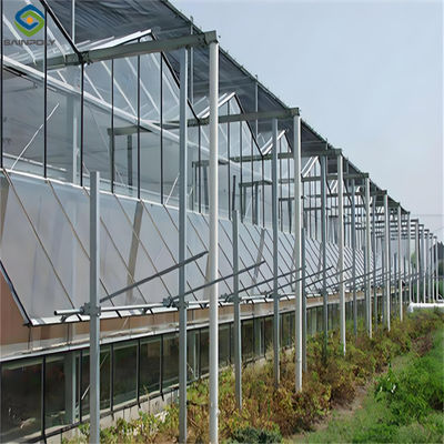 Modern Venlo Greenhouse Farming Commercial Glass Greenhouse With Steel Frame