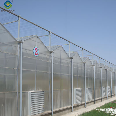 Strong Structure Galvanized Venlo Type Greenhouse Commerical Green House