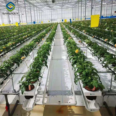 New Products Ultraviolet-Proof Farming Venlo stype greenhouse with hydroponics systems