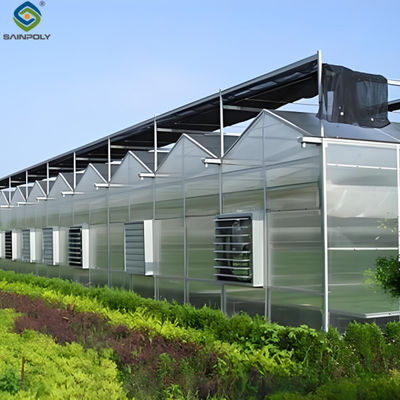 Greenhouse Quality Agricultural Greenhouse Hydroponics Dutch Venlo Polycarbonate Greenhouse For Tomato flower And Cucumber