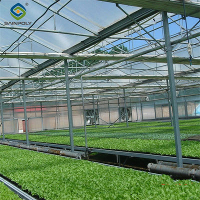 Venlo-Stil Polykarbonat Landwirtschaft Gewächshaus Anpassungsgröße