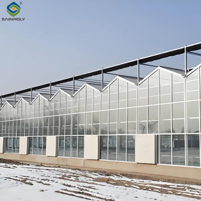 Smart Multi Span Venlo Glass Greenhouse Solar Photovoltaic Greenhouses Fruit Planting