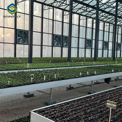 Smart Multi Span Venlo Glass Greenhouse Solar Photovoltaic Greenhouses Fruit Planting