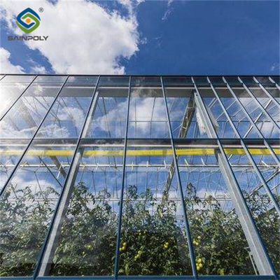 Verstellbares Schattierungsnetz Venlo Gewächshaus Mehrspannglas Gewächshaus