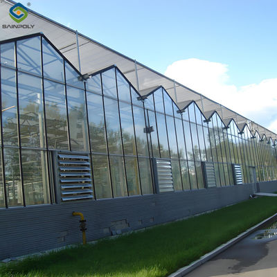Anti Reflective Automatic Venlo Glass Greenhouse With Agricultural Farming Systems